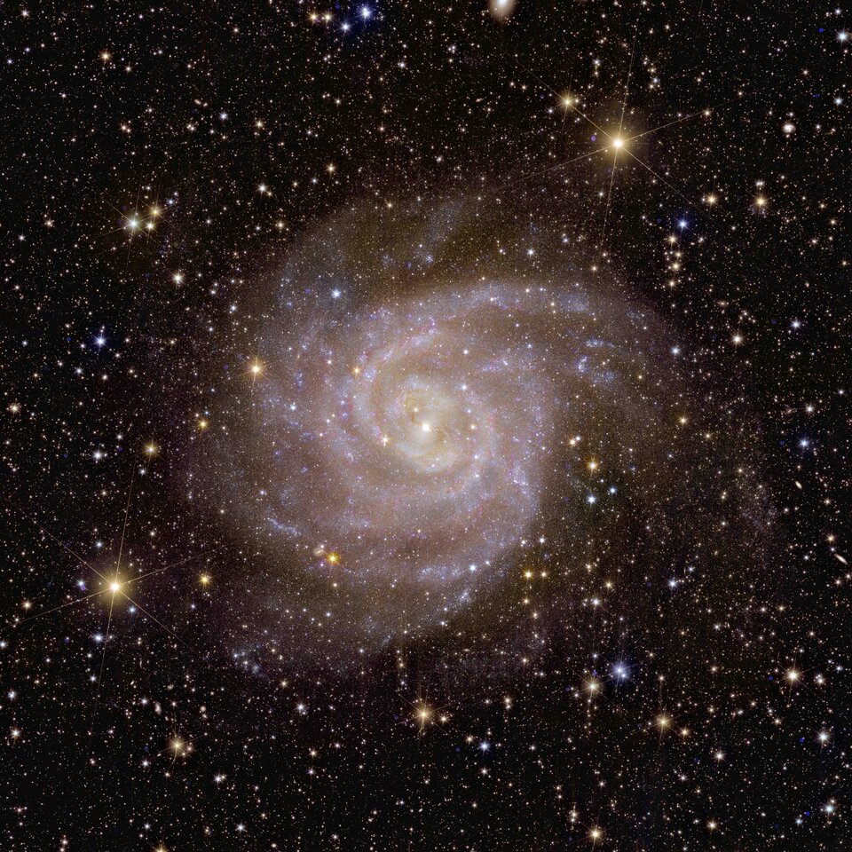 euclid galassia a spirale ic 342