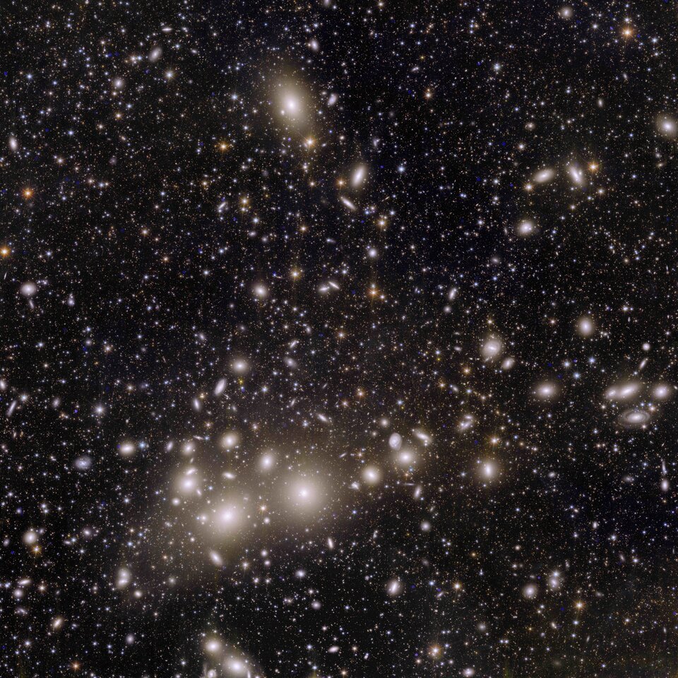 euclid lammasso di galassie del perseo 1