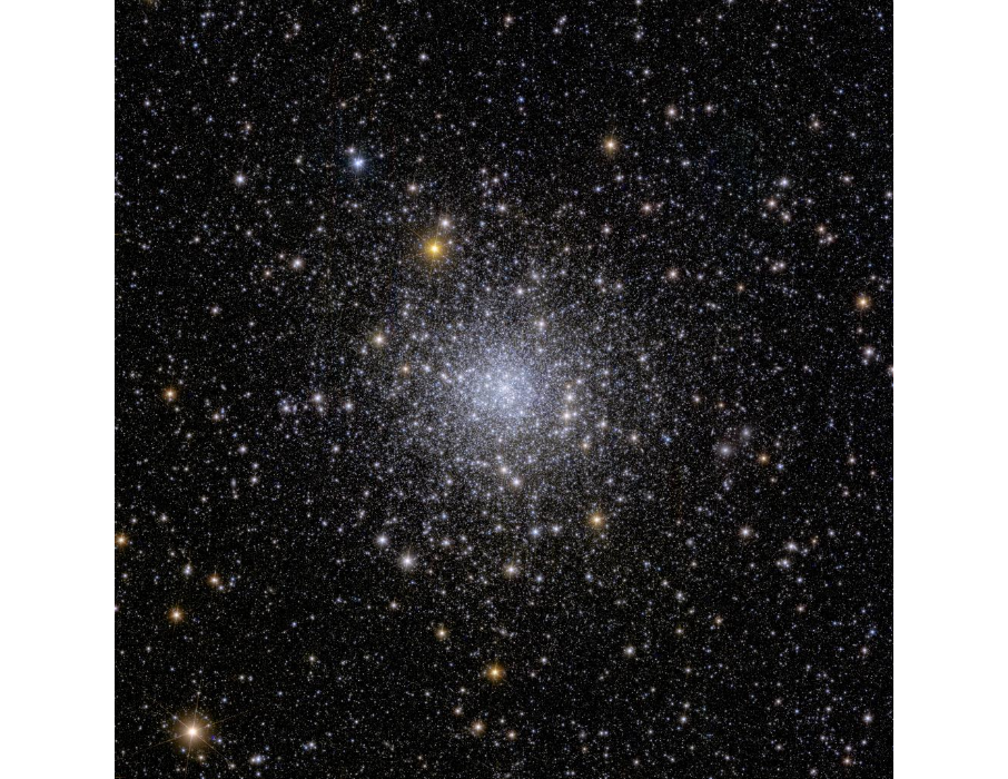 euclids view of globular cluster ngc 6397