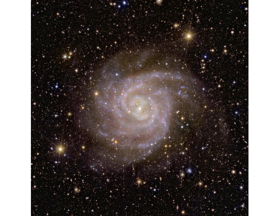 euclids view of spiral galaxy ic 342