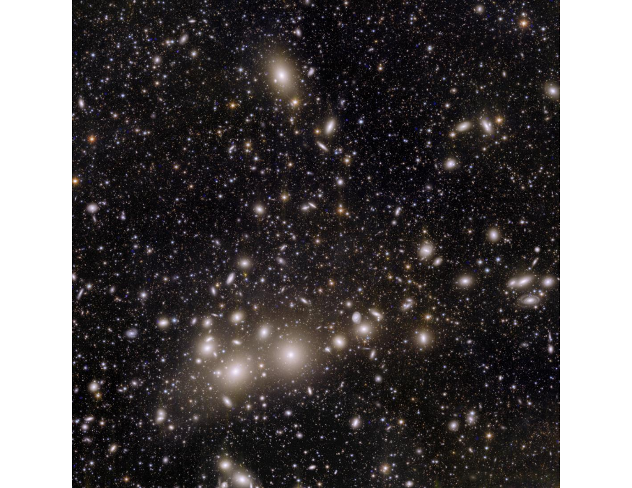 finding dwarf galaxies in euclids view of perseus