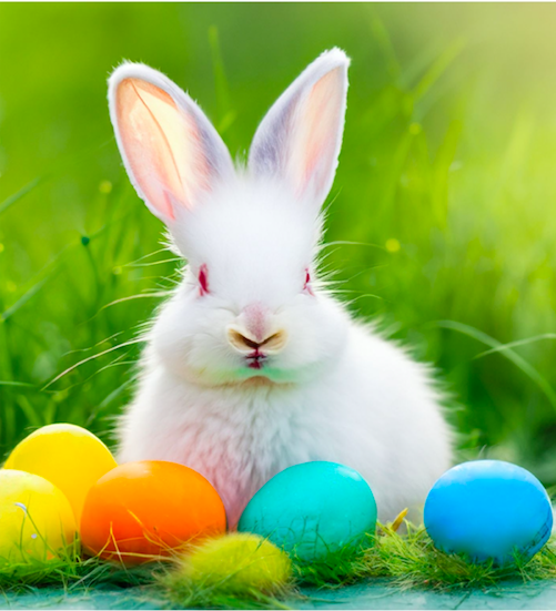 schermata 2024 03 28 alle 101013 - La Pasqua? E' legata alle fasi lunari