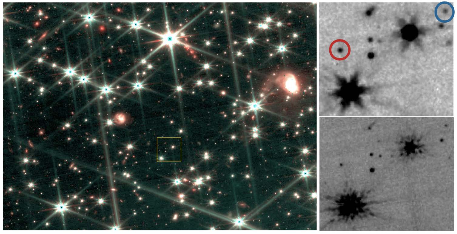 Nell'occhio di Webb Nel pannello a sinistra, immagine di una porzione del campo di vista osservato dal Jwst. I pannelli a destra mostrano immagini monocromatiche nel vicino e lontano infrarosso per la regione indicata dal riquadro in giallo nel pannello di sinistra. I cerchi blu e rosso indicano due nane brune. Crediti: A. F. Marino et al. ApJ, 2024