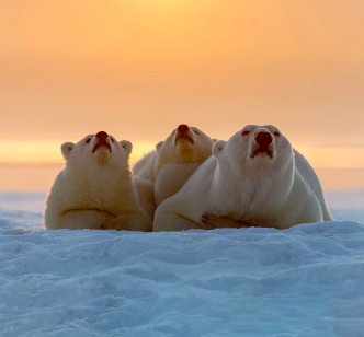 schermata 2024 12 20 alle 075243 - Attività spaziali e sviluppo sostenibile: due percorsi formativi SIOI per prepararsi alle sfide del domani