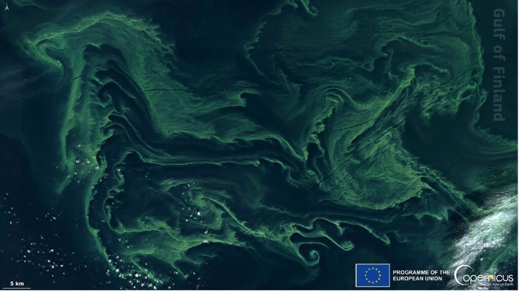 L’intelligenza artificiale per tutelare mari, aria e terra 2 ia copernicus 2 - L’intelligenza artificiale per tutelare mari, aria e terra