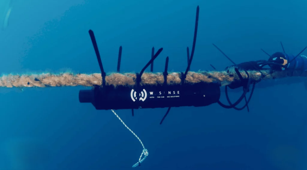 Golfo di Follonica: nuovo sistema di monitoraggio subacqueo 1 Golfo di Follonica