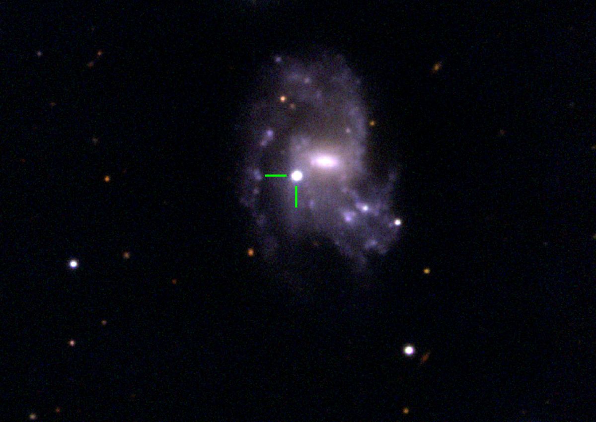 Supernova SN 2024bch
