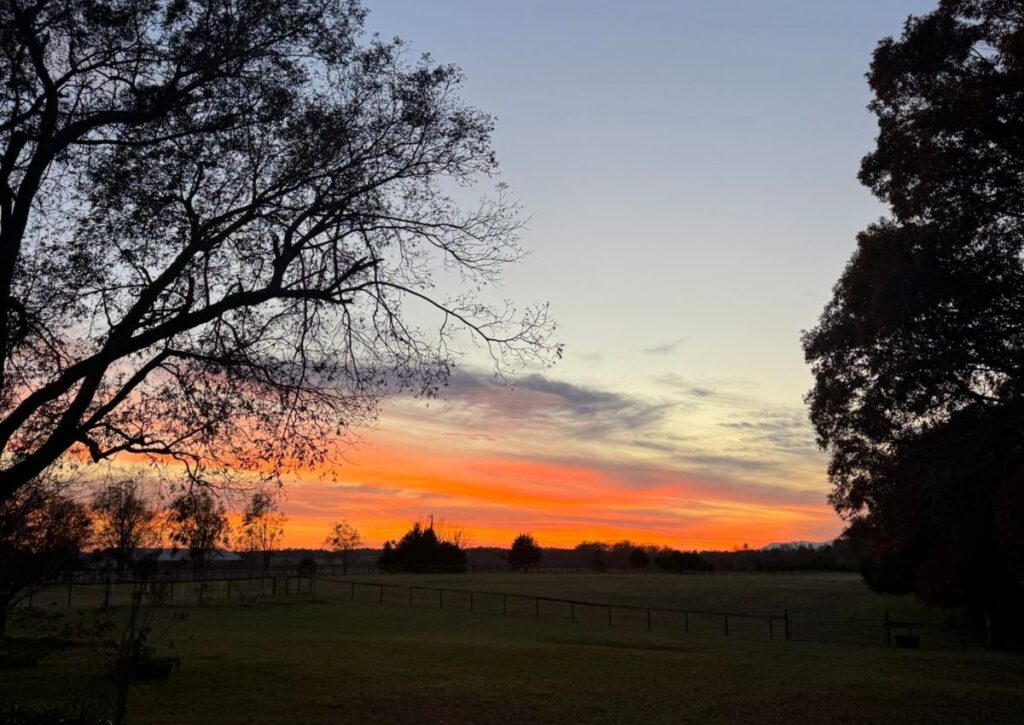 Connessione Starlink rurale