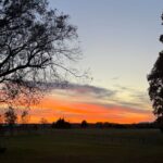 Starlink amplia la connessione rurale con internet veloce e affidabile