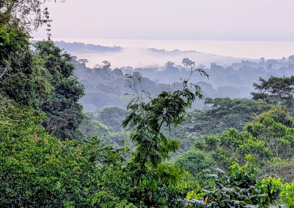 L’Amazzonia e il ruolo dell’ESA nel monitoraggio globale del carbonio 1 Monitoraggio cambiamenti climatici