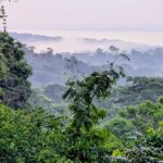 L’Amazzonia e il ruolo dell’ESA nel monitoraggio globale del carbonio 7 L’Amazzonia e il ruolo dell’ESA nel monitoraggio globale del carbonio