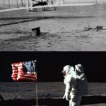 Musk: 66 anni dal primo volo allo sbarco sulla Luna