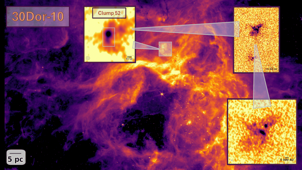 ALMA mappa la core mass function in 30Dor-10 1 Core mass function