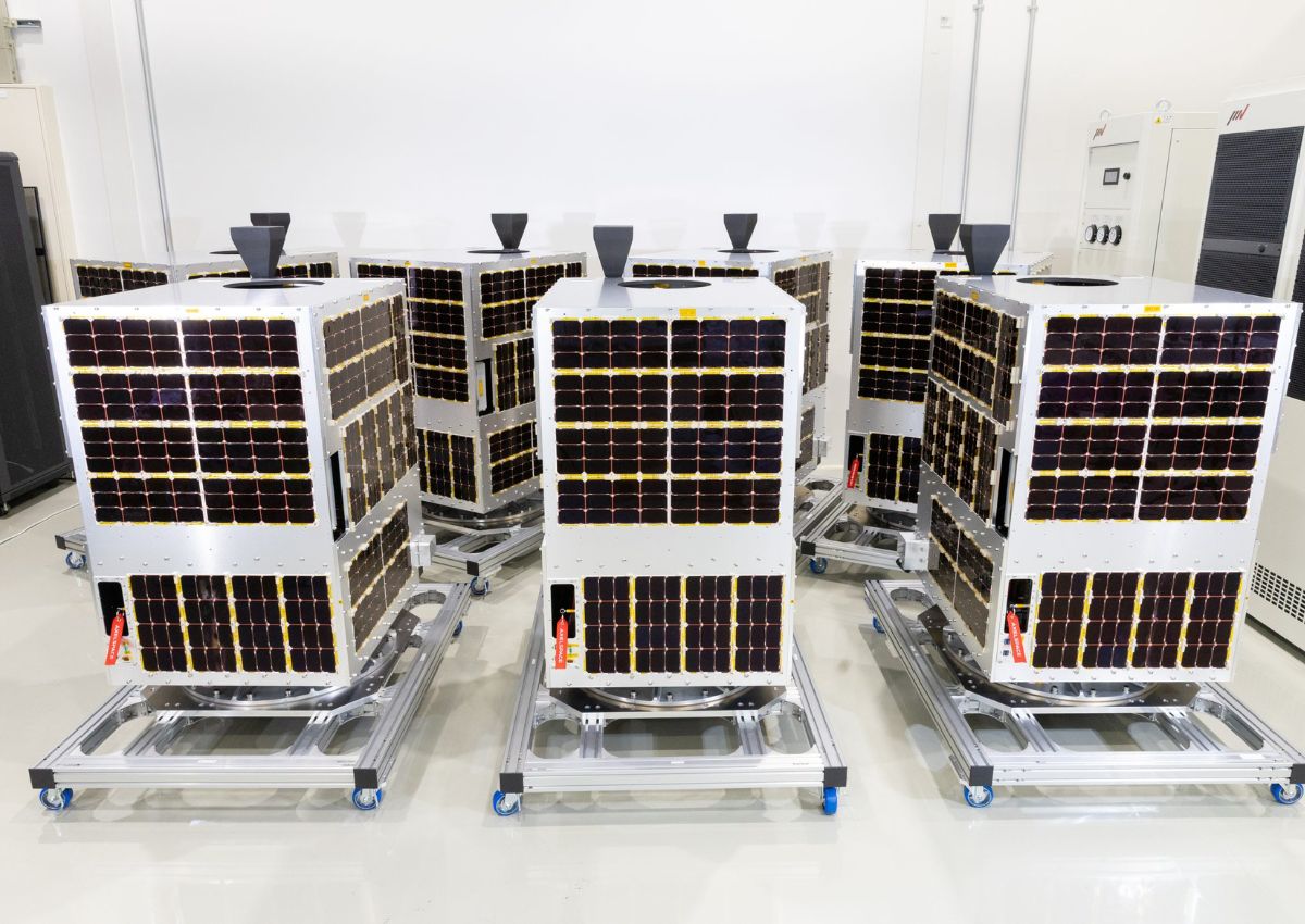 microsatelliti