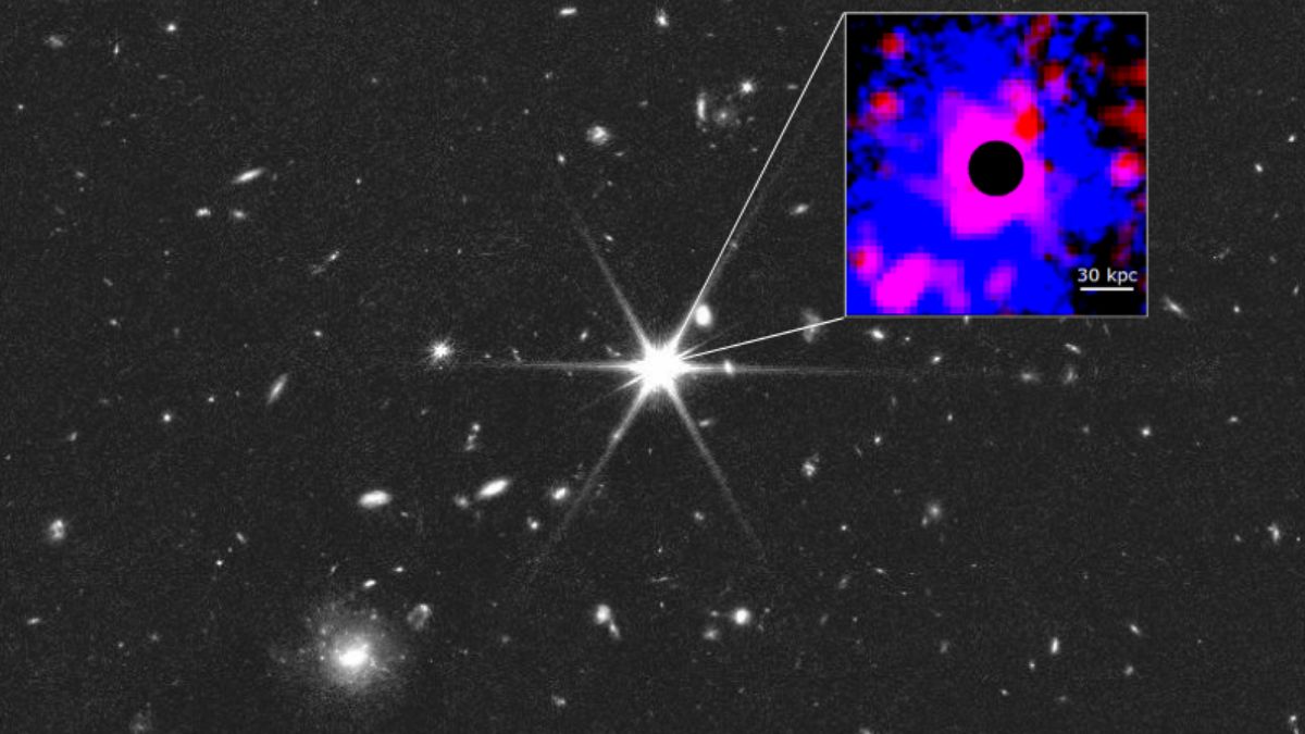 Immagine del quasar al centro del protoammasso MQN01 con l'emissione di gas caldo rilevata dal telescopio spaziale Chandra nell'Universo primordiale.