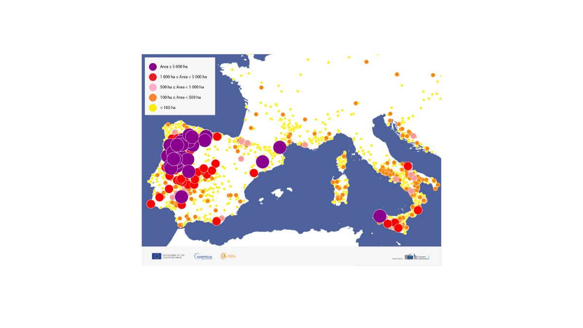 Mappa degli incendi boschivi nel 2025 nel Mediterraneo occidentale elaborata da Copernicus, con la localizzazione e l'estensione dei principali incendi tra Spagna e Portogallo.