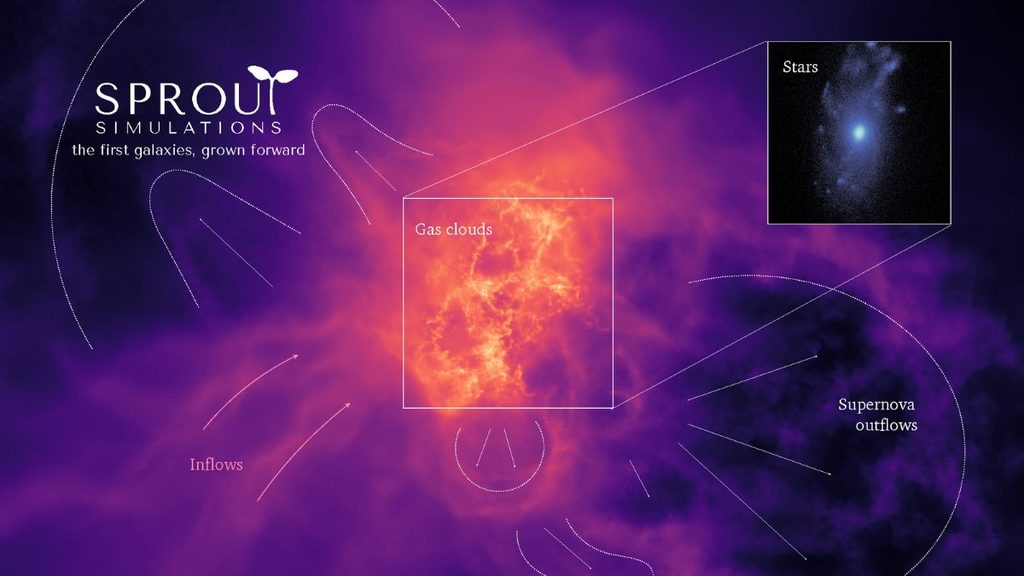 SPROUT ottiene 1,67 milioni dall’ERC: all’INAF di Trieste nasce un nuovo gruppo di ricerca 1 Simulazione del progetto SPROUT finanziato dall’ERC Starting Grant 2026, con nubi di gas, stelle e flussi prodotti dalle supernove