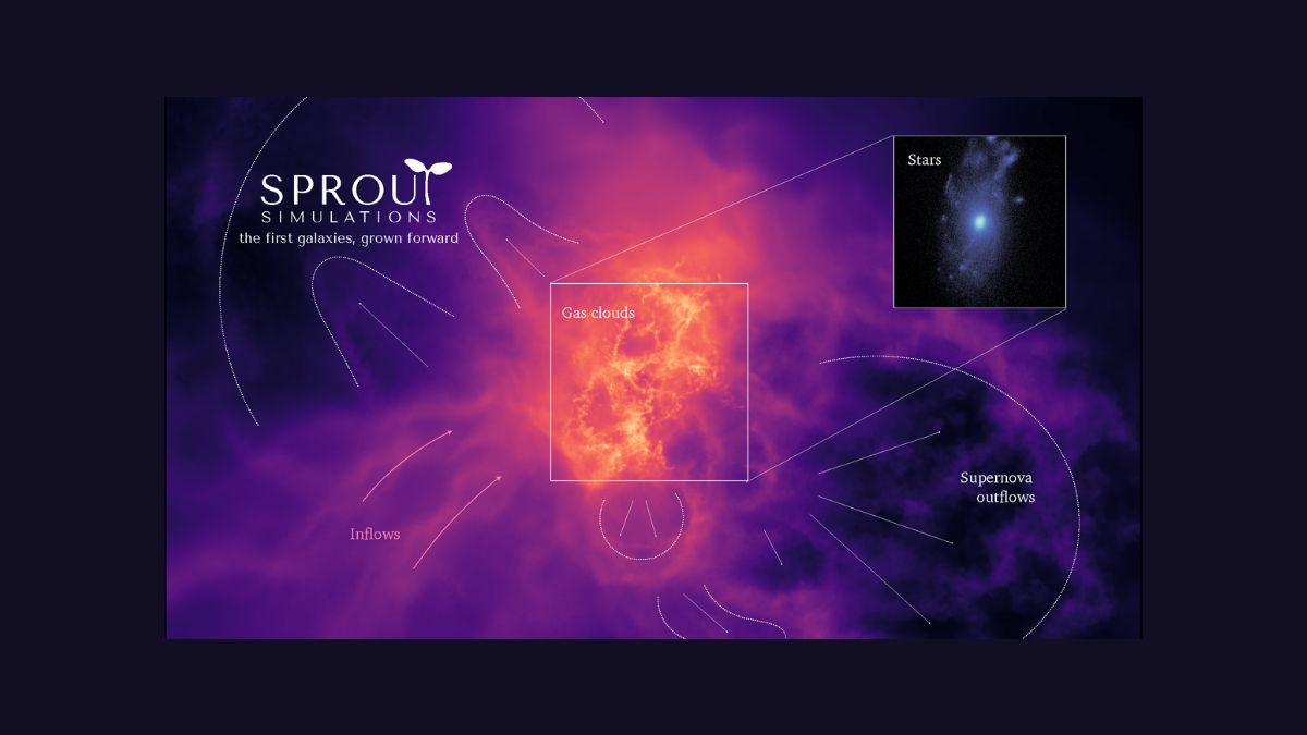 Simulazione del progetto SPROUT finanziato dall’ERC Starting Grant 2026, con nubi di gas, stelle e flussi prodotti dalle supernove