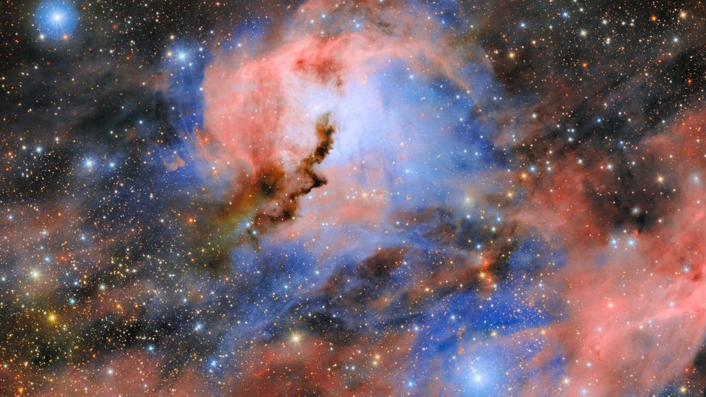Nebulosa Gabbiano, l'immagine di Rubin che racconta i test della ComCam 1 Nebulosa Gabbiano ripresa dalla ComCam dell'Osservatorio Rubin, con nubi di gas rosa, polveri blu e numerose stelle.